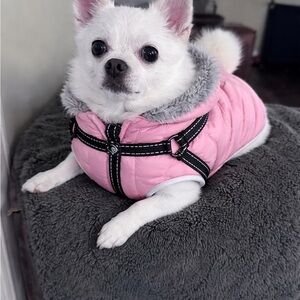 Brand New Cozy Puppy/Dog Winter Vest – Small to Medium – Only $10!